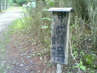 こぶし 2009/07/19 09:01:10