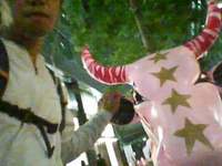 帰宅ランで牛とツーショット 2008/09/05 21:05:46