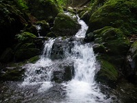 2010 0904-05 奥多摩 小雲取谷