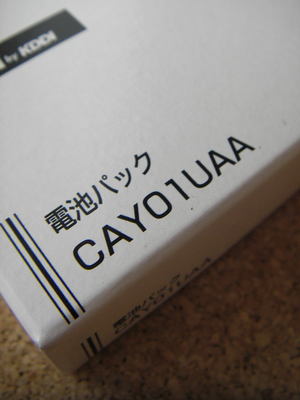 カシオGzOne TYPE-X用電池パック