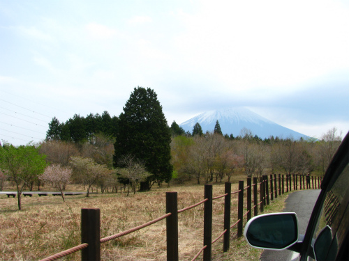 2011GW前半　ペンギン村