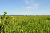 北海道へ行こう♪道北・2013夏①