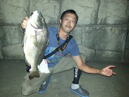 旧堺灯台のヌシ捕獲！