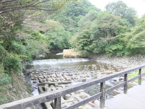 高野川河川敷 （八瀬比叡山口駅裏）