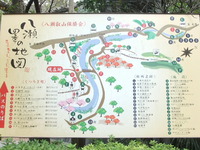 高野川河川敷 （八瀬比叡山口駅裏）