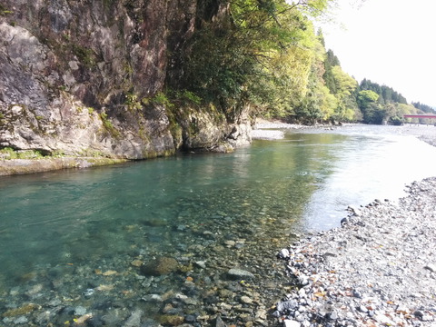 GWのデイキャンプは食すために２ （桑野橋河川公園）