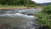 2015.5.6　滝波川釣行 2015/05/06 19:51:58