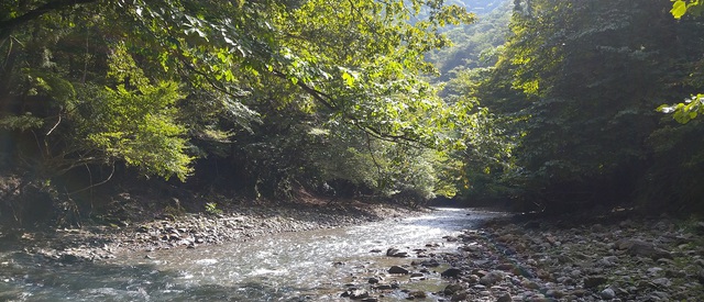 下級国民VS.上級国民。渓流釣りの夏休み。