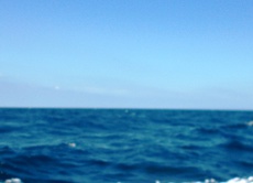五島灘でイトヨリ・レンコ鯛