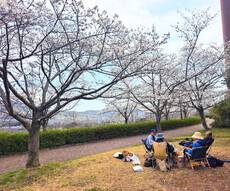 お花見で～す・・・\(^0^)/