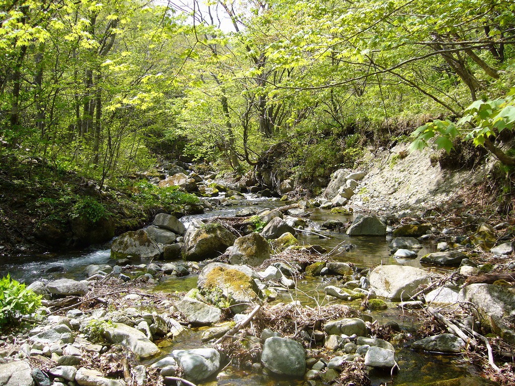 Solocamp 渓流ソロキャンプ 宮城県川崎町某所