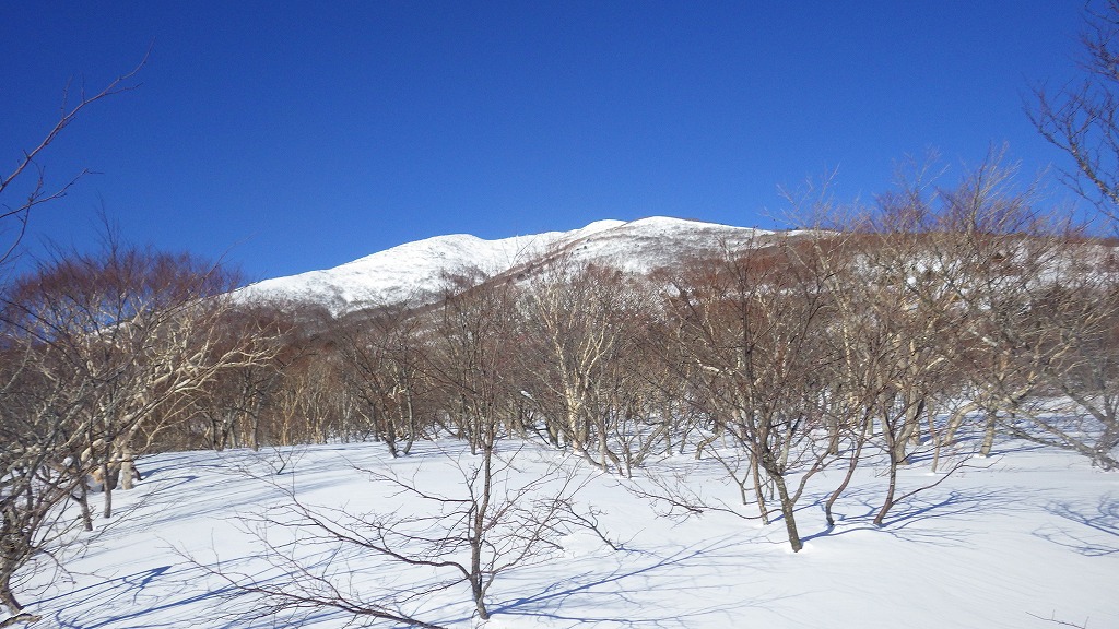 雪山歩き 蔵王連峰 不忘山 20150114