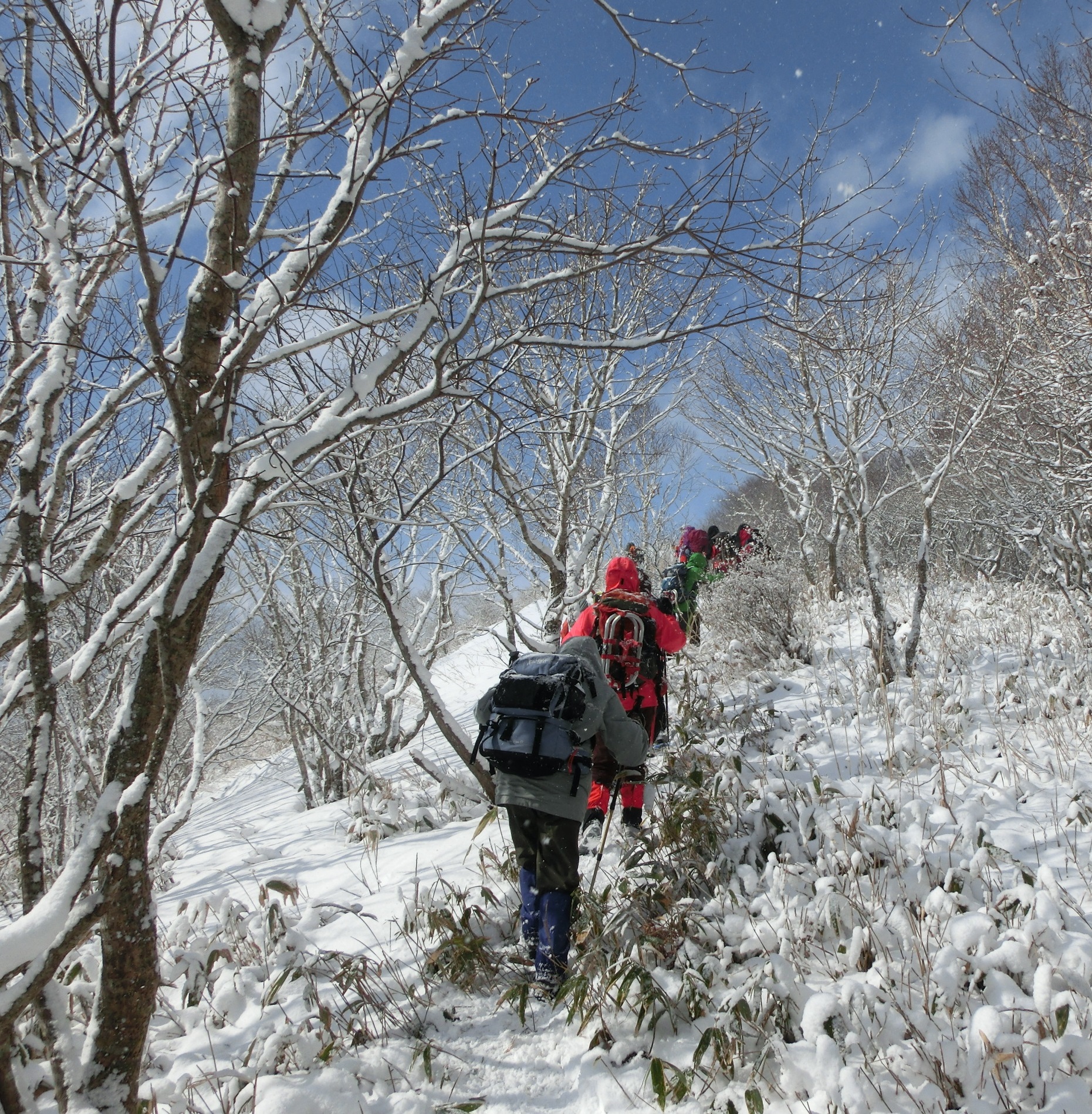 2月17日　石崎石山