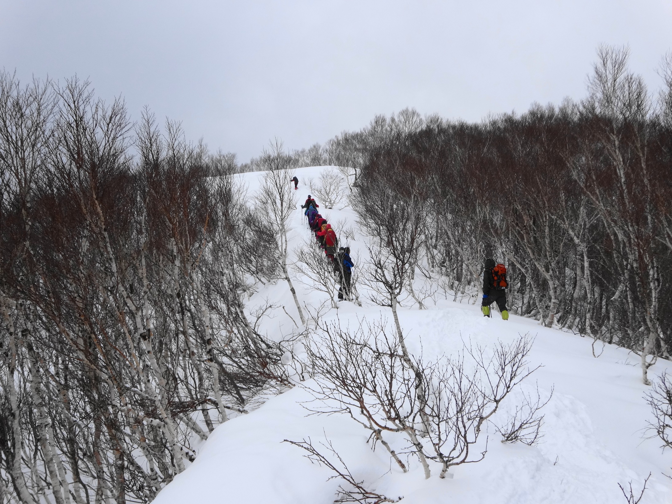 もうすぐ山頂