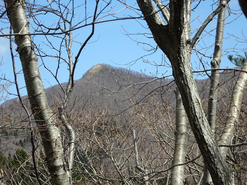 樹間から尖山[360.7m]。