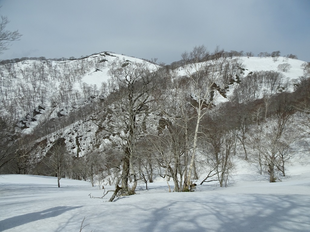 C700m付近から本峰[左]