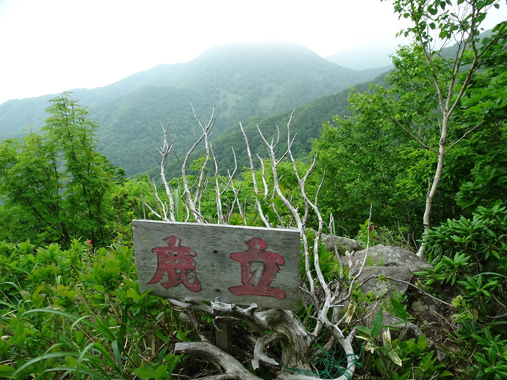 鹿立から矢越岳
