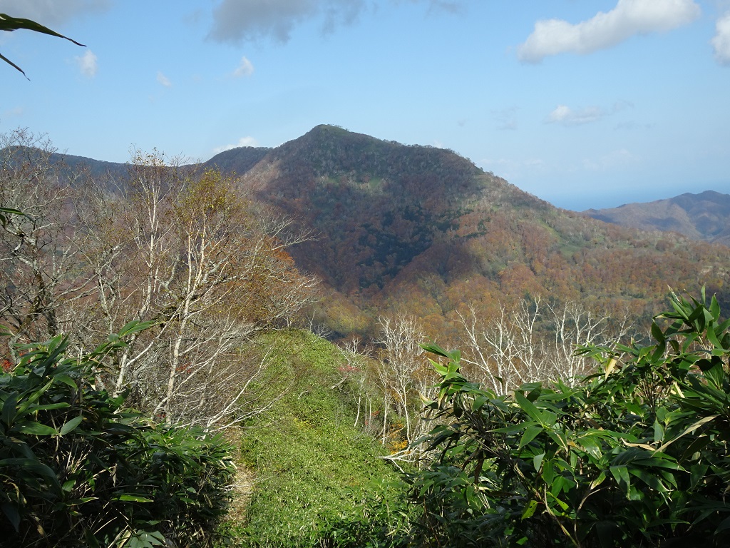 横山[928.8m]南東尾根上のポコ[853m]