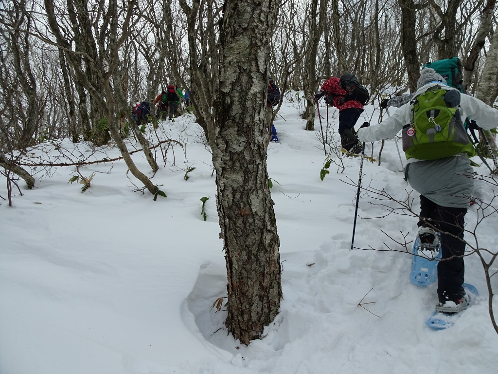 516.6m本峰に向かう