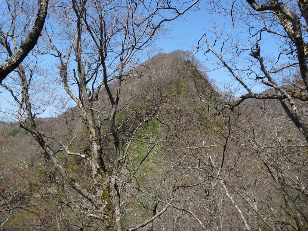 前ヤンカから本峰