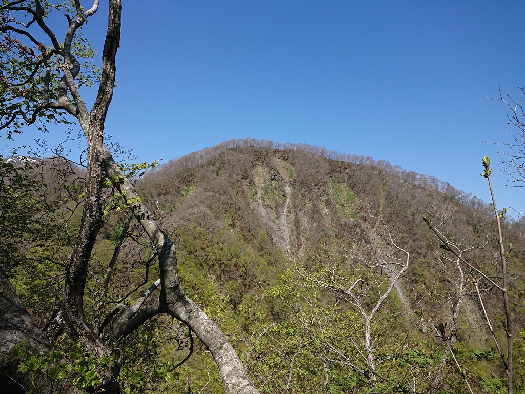 ヤンカ山頂上