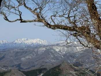 ４月２０日（日）設計山（もっけやま）