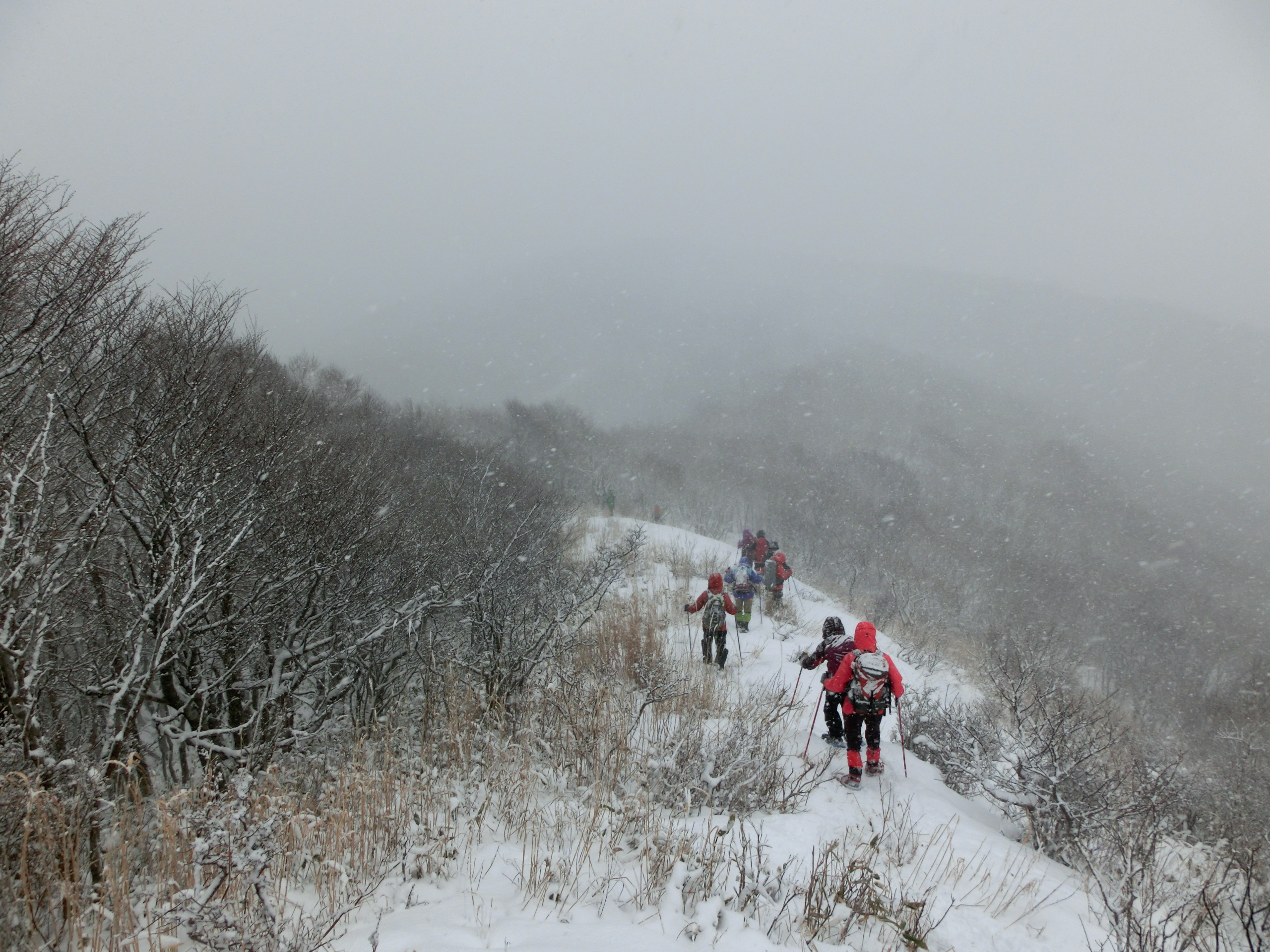 2月17日　石崎石山