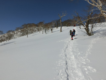 ３/５(土)三九郎岳