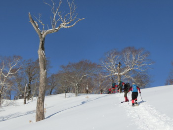 ３/５(土)三九郎岳