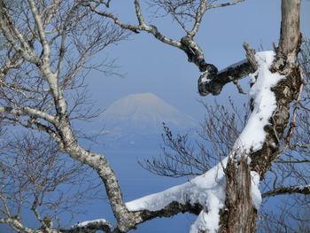 ３/５(土)三九郎岳