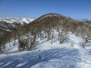 ３/５(土)三九郎岳