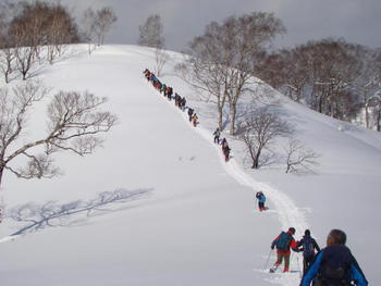 2/27(土)北斗７００ｍ