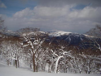 2/27(土)北斗７００ｍ