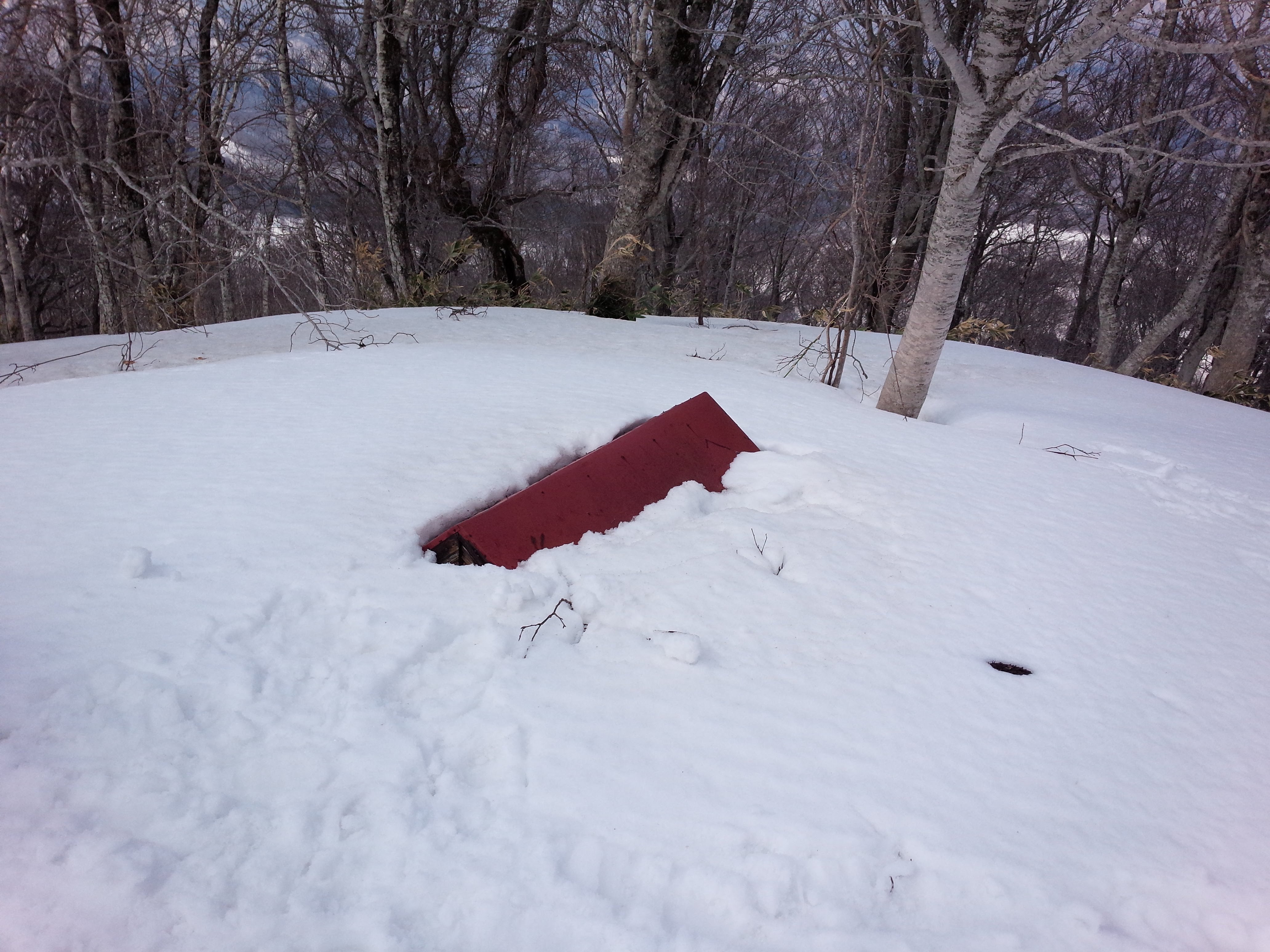 雪に埋もれた社