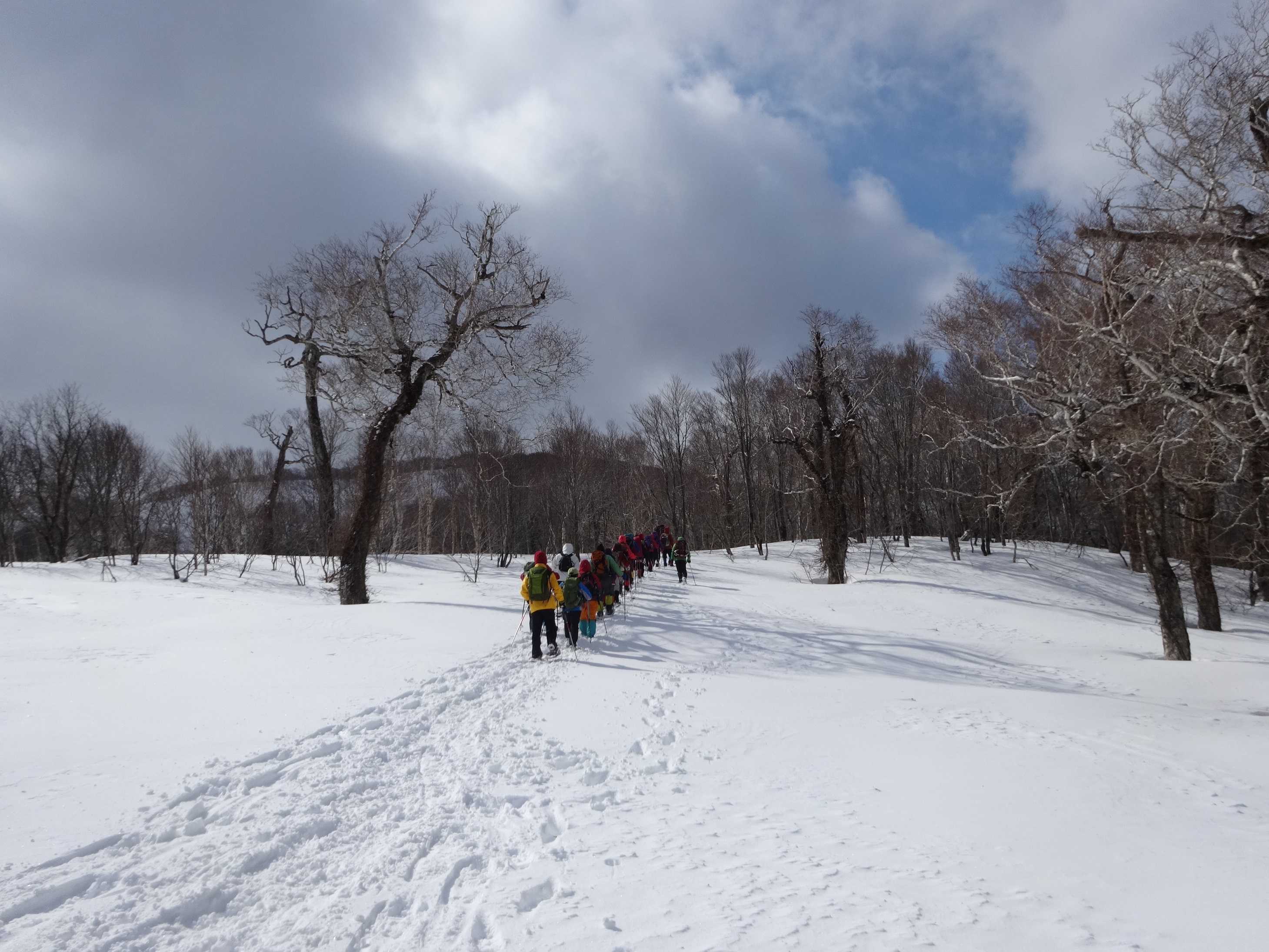 尾根の登り