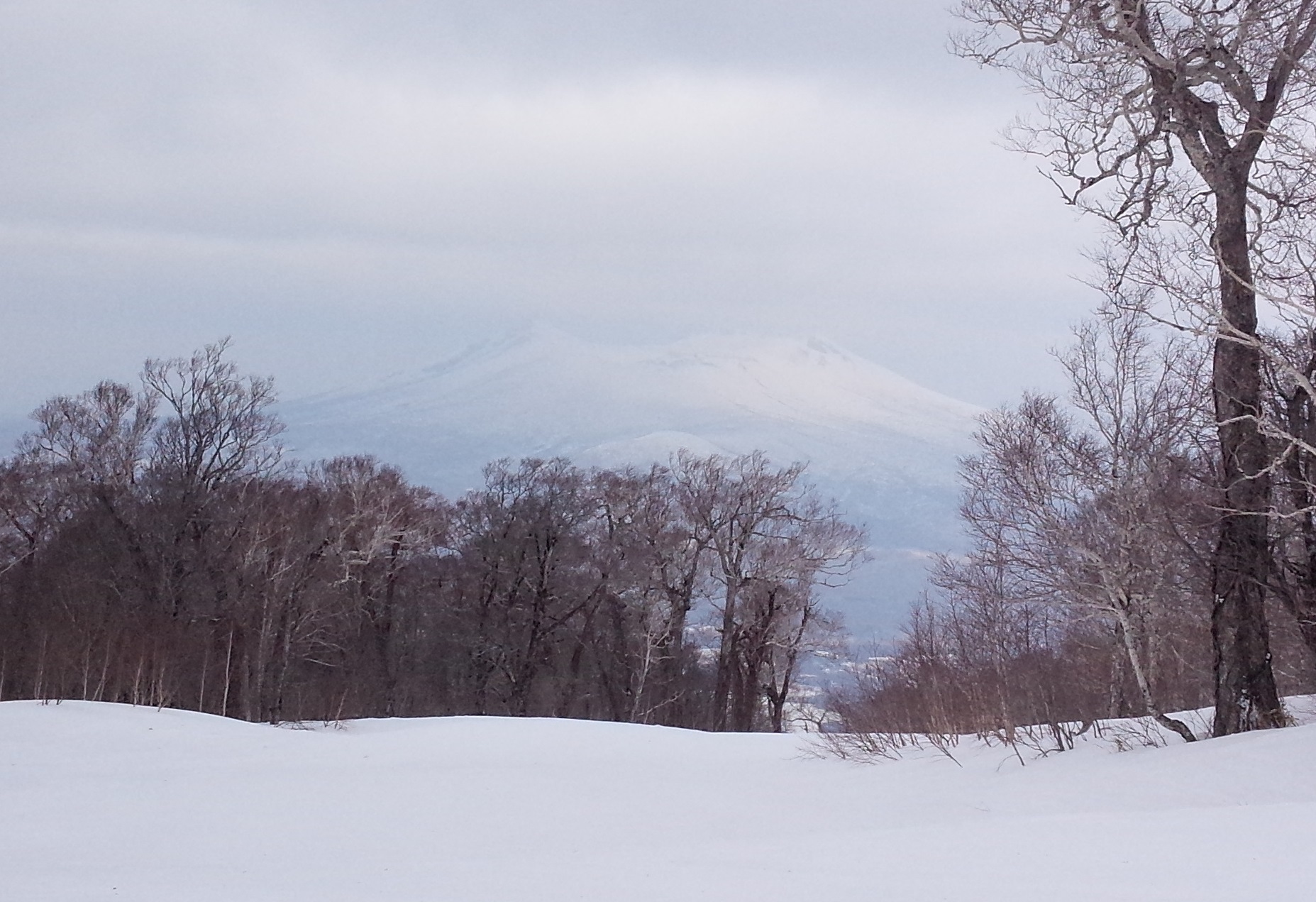 下山途中の駒ヶ岳