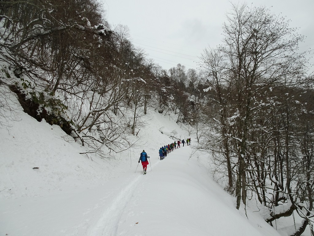 二股林道を進む