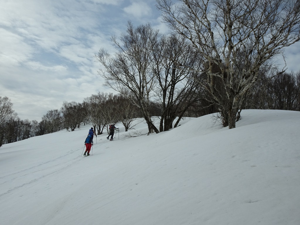 846m峰手前の尾根を登る