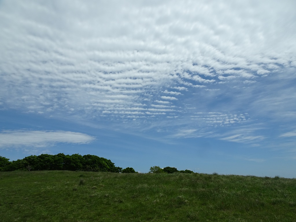 波状高積雲