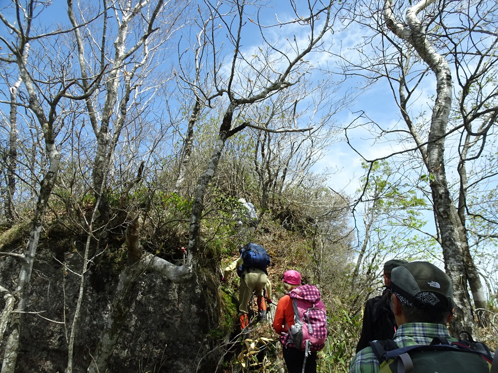 石楠花山を登る