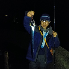 再び、太刀魚テンヤ〜陸釣り 2020/11/15 12:33:11