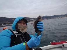 須磨沖メバル♪再び 2019/02/09 19:11:47