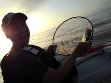 須磨沖の落とし込みで魚種多彩 2019/08/13 18:51:00