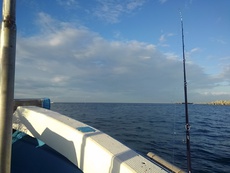 沼島で鰯の落とし込み 2018/07/31 19:27:52