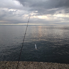 太刀魚テンヤ〜陸釣り 2020/10/01 07:20:32