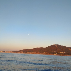 出世魚ゲット 2022/12/17 09:42:53