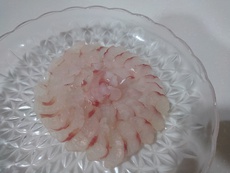 南あわじの釣果 2019/06/18 17:48:26