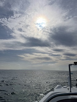 ギャンブル成功！