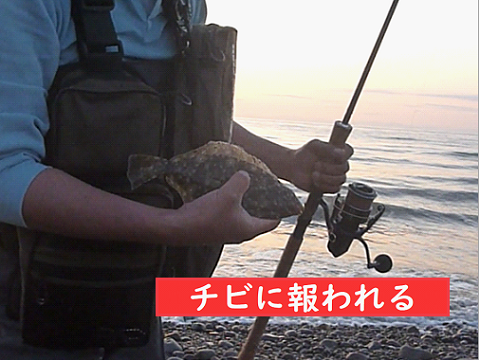 チビに報われる