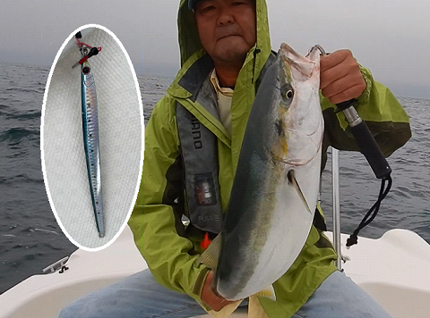 ハマチごときに浮足立つ